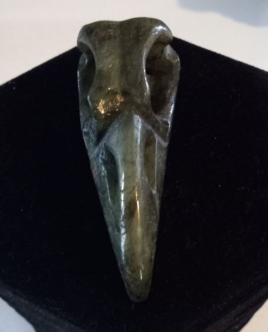 Labradorite bird skull