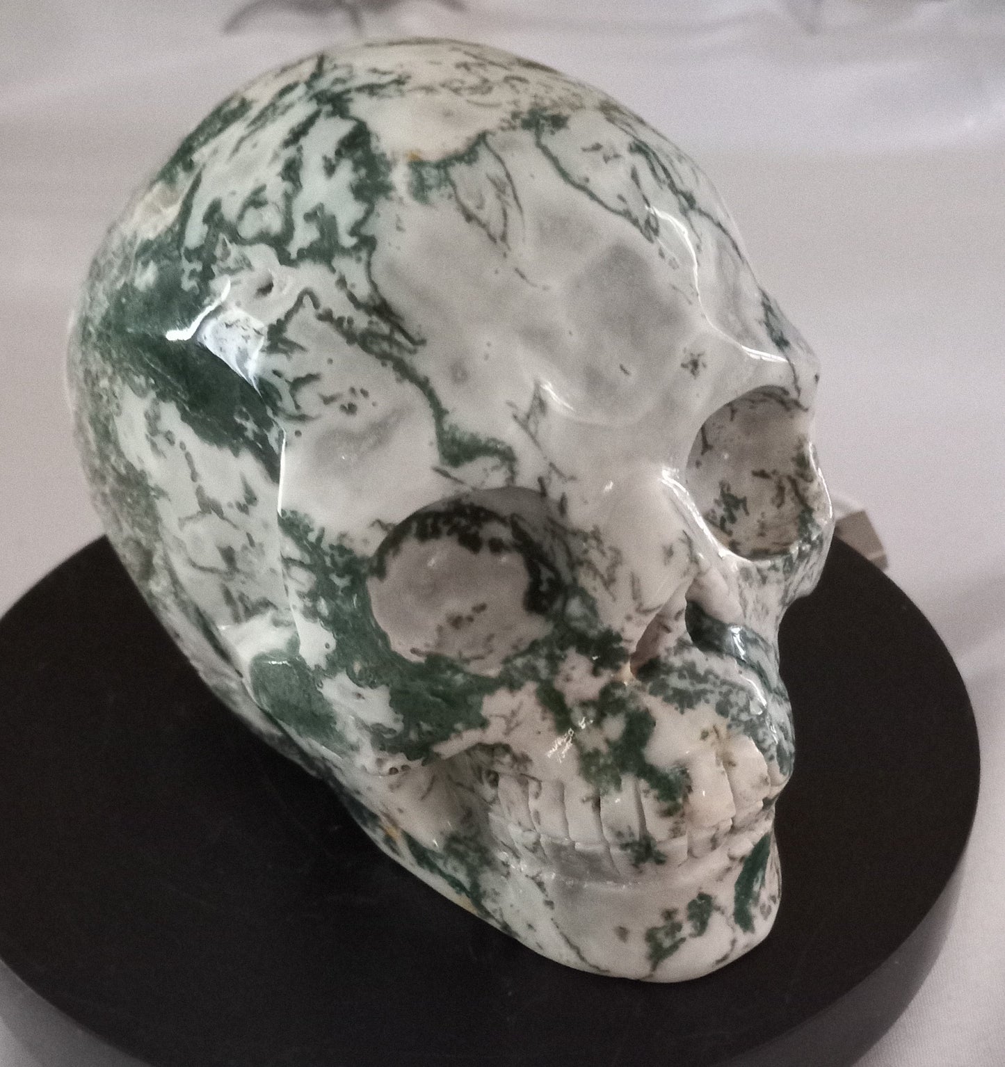 Tree Agate Skull