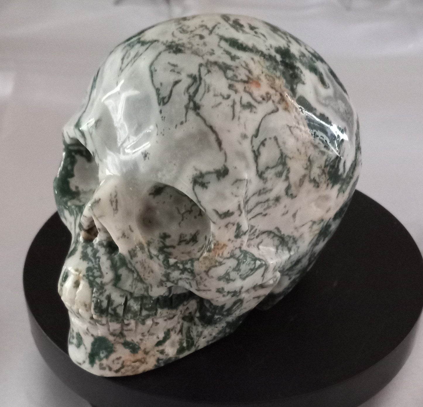 Tree Agate Skull