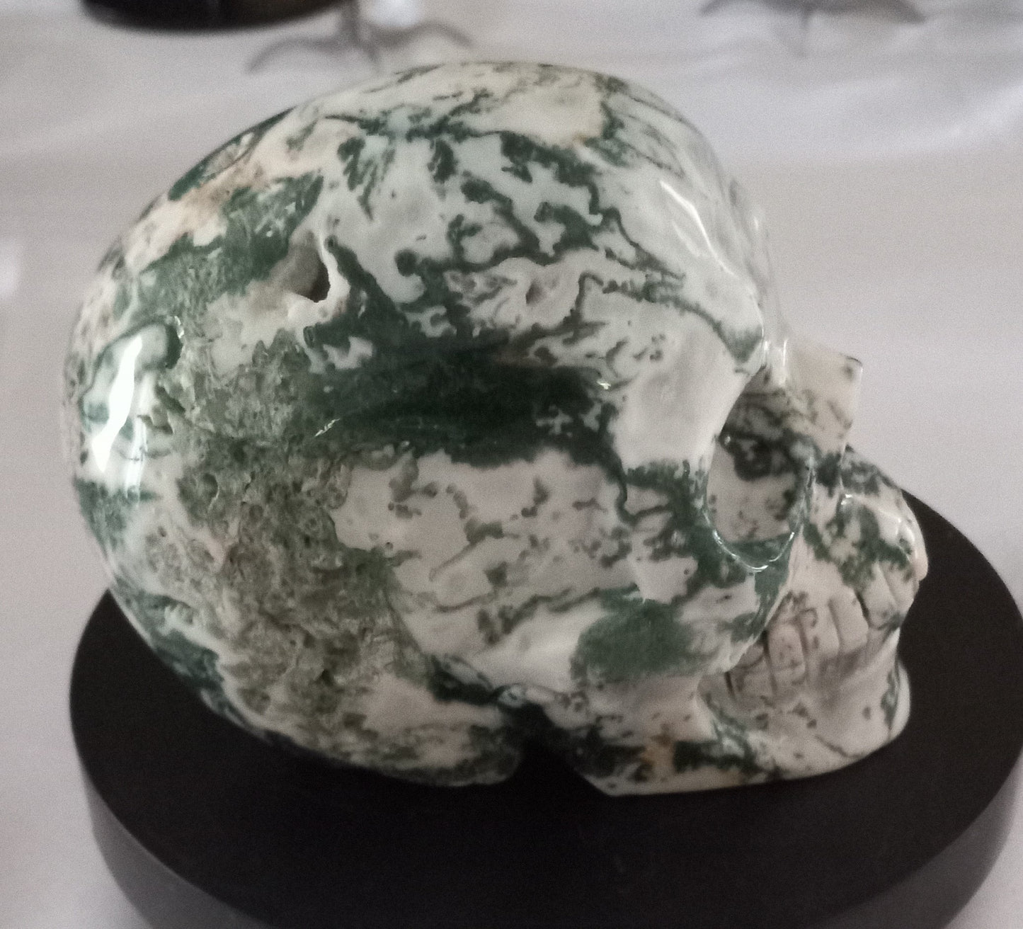 Tree Agate Skull