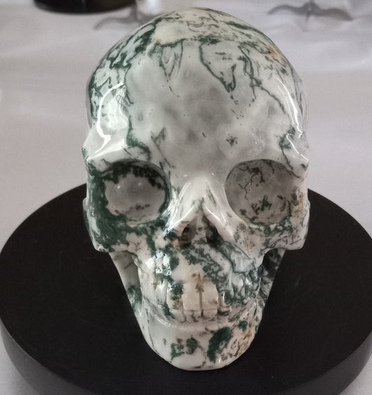 Tree Agate Skull