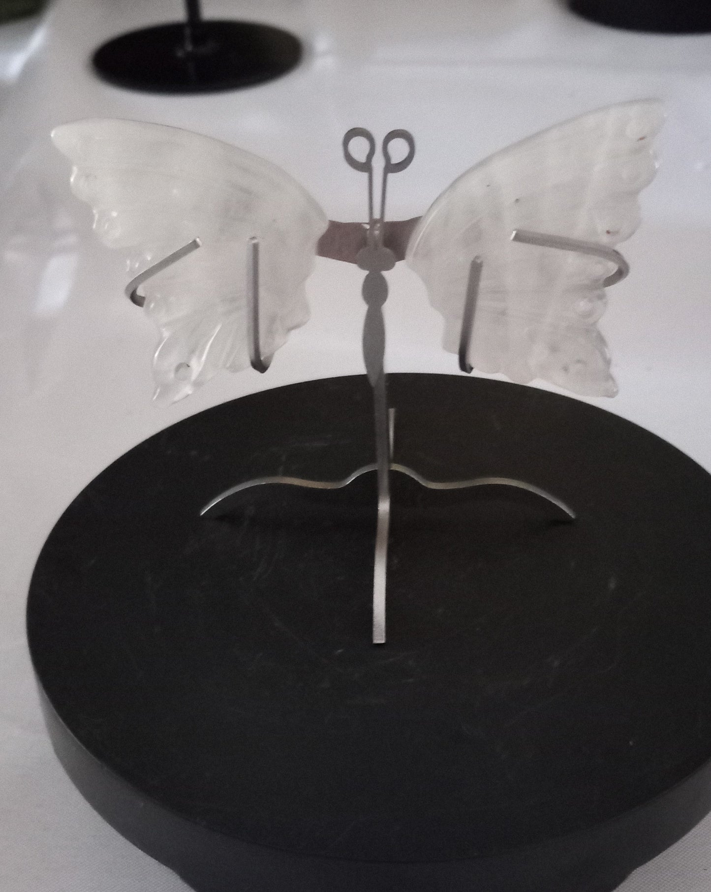 butterfly wings with stand.